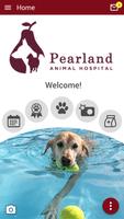 Pearland Animal Hospital poster