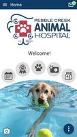 PCAH Tampa Bay plakat