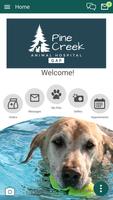 Pine Creek AH Gap poster