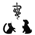 RockyShoresVet आइकन