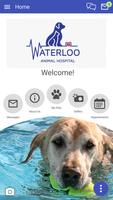 Waterloo Vet ポスター