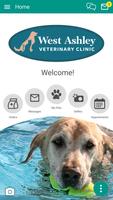 West Ashley Vet 海报