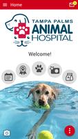 TPAH Tampa Bay Affiche