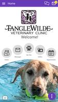 Tanglewilde Vet 海報