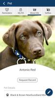 Pet Wellness imagem de tela 3