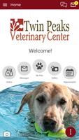 Twin Peaks Vet Center poster
