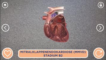 Vetmedin 3D Cardio-poster