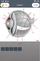 Eye Anatomy Quiz screenshot 2