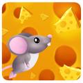 Rat and Cheese