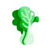 Vegetables Flip icon