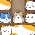 Cats Slide
