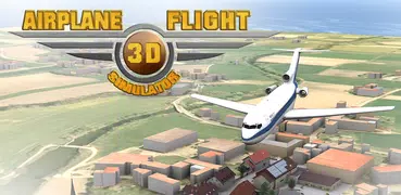 Airplane 3D flight simulator