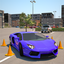 Driving School 3D Parking APK