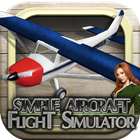 Simulateur de vol du Cessna 3D icône