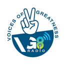 VG8 Radio APK