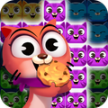 Pop Cat Cookie