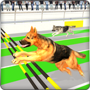 Greyhound 3D Dog Racing Fever APK