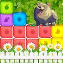 Fruit Blast APK