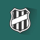 Torcida da Macaca icône