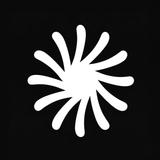 DualShot Recorder APK
