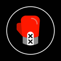 Боксерский таймер Gymborg