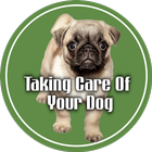 Taking care of your dog-icoon