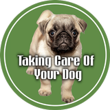 Taking care of your dog icône