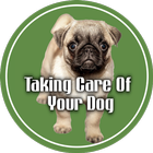 Taking care of your dog icône