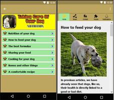 Taking care of your dog syot layar 1