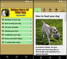 Taking care of your dog capture d'écran 1