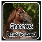 Caballos españoles -imágenes d icône