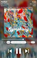 TrueSymphony Music Player Cartaz