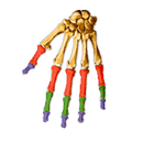 Anatomy APK