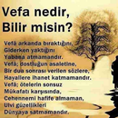 Özlü Sözler 2019 APK
