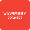 Viaberry Connect School