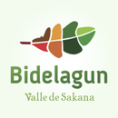 Bidelagun APK