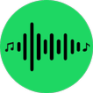 Song Finder & Recognizer