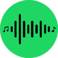 Song Finder & Recognizer