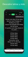 Buscador de canciones captura de pantalla 2