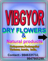 Dry Flowers  Vibgyor 海报