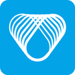 Vibrant Companion icono