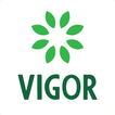 Vigor | ويجور Zeichen