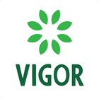 Vigor icon