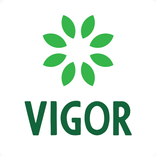 Vigor | ويجور