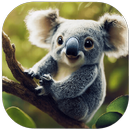 Cute Animals Wallpapers APK