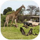 Botswana Travel Guide APK
