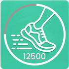 Step Counter icon