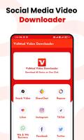 برنامه‌نما VidMad Video Downloader عکس از صفحه