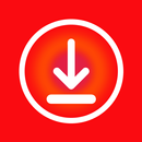 Загрузчик всех видео - Мастер APK