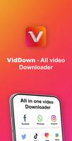 VidMad - Videos downloader Affiche
